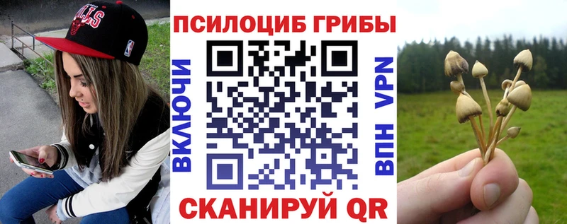 Псилоцибиновые грибы мицелий  Ужур 